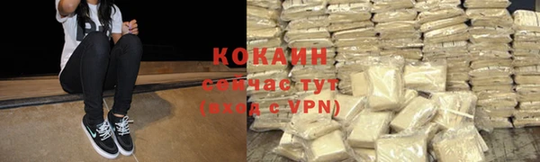кокс Алексин
