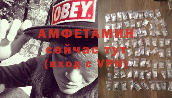 молекула духа Алзамай